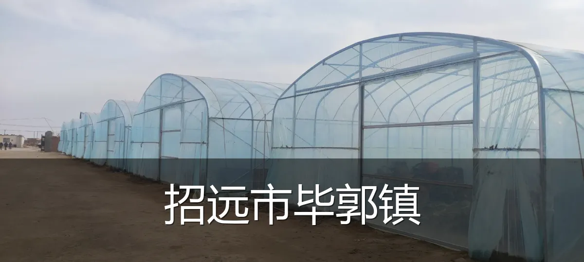 招远市毕郭镇