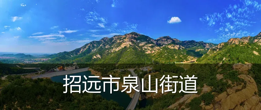 招远市泉山街道